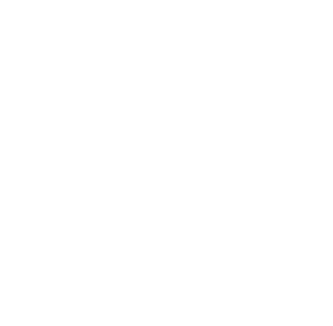 Primera-logo-white